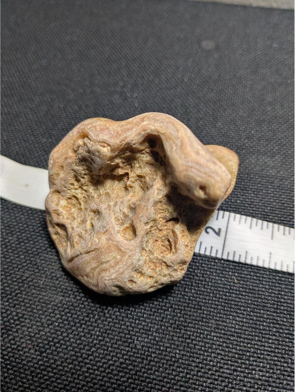 Natural Crowley's Ridge agate - Picture 5 of 9